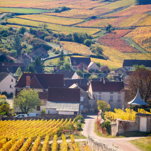 The Romantic French Wine Routes: A Road Trip Guide